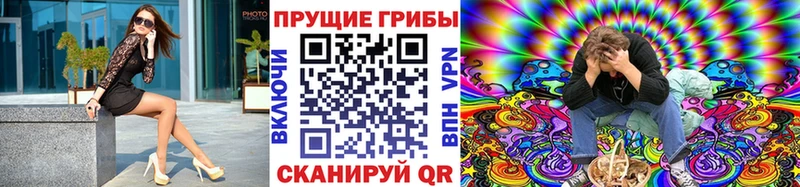 кракен как войти  Палласовка  Галлюциногенные грибы Cubensis 